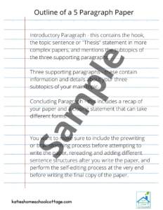 Sample of Steps to Write a 5 Paragraph Essay Outline