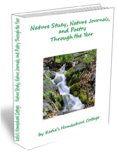 Nature Studies