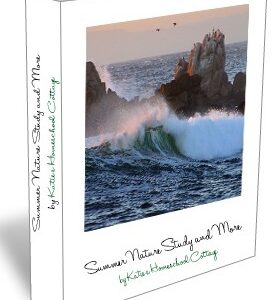 summer nature study and more