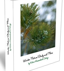 Winter Nature Study and More